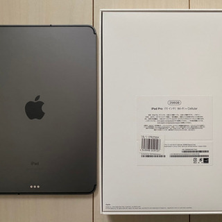 iPad pro 11 2018 256GB WiFi + cellular【美品傷なし】スペースグレー