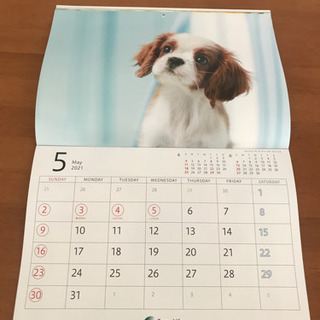 ★【お取引決定】カレンダー　2021年　3種類の画像