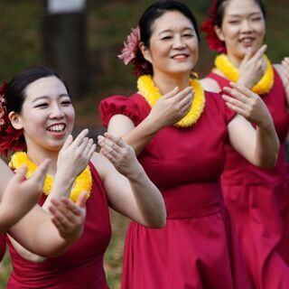 ★HULA★HALAU★農大通り★本格的に学ぶハワイの文化・フラ