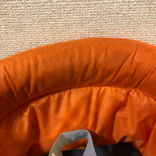イングリッシーナ　オレンジの画像