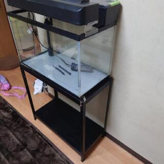 GEX 60水槽　水槽台セット