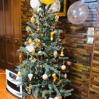 クリスマスツリーの画像