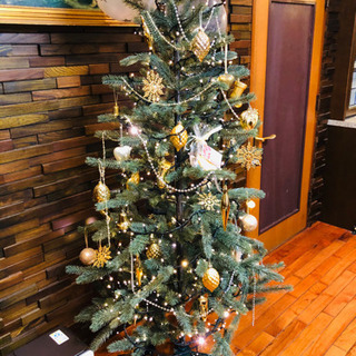 クリスマスツリーの画像