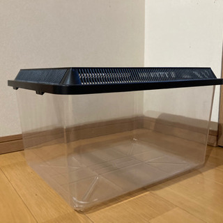 虫かご①