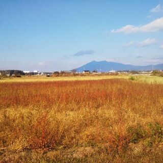 第一回募集★貸し農園★10坪★レンタル野菜畑★
