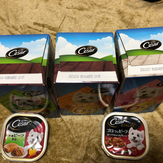 ペットフード　シーザー20個セットの画像