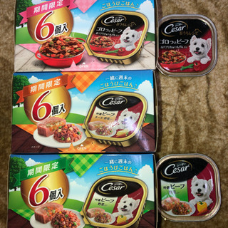 ペットフード　シーザー20個セットの画像