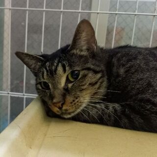 控えめ穏やかな男の子♪丸君