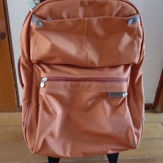 キャリーバッグ