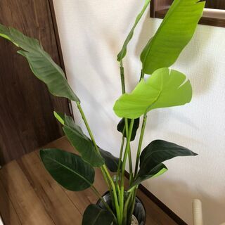 観葉植物　フェイクグリーン　ニトリ