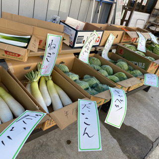助けてください！　野菜プラスいち