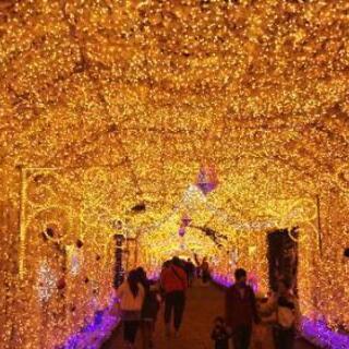 11月25日暇な人
