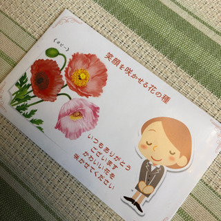 花の種、ポピー