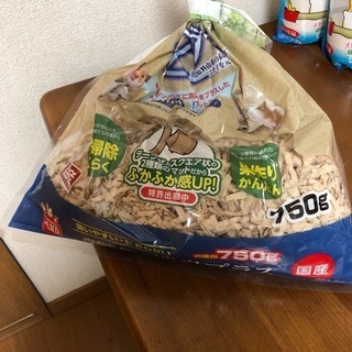 ハムスター色々🌷の画像