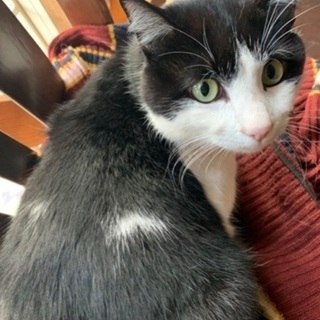 保護されました💗ボクを家族にして下さい💗