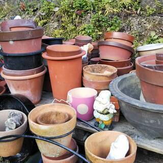 植木鉢等　ガーデニング用品　無料の画像
