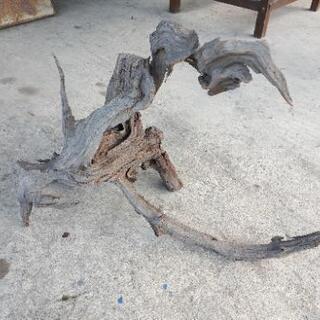 枯れ木　オブジェ