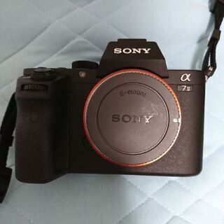 SONY α7Ⅱの画像