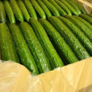 🥒パートさん募集🥒の画像