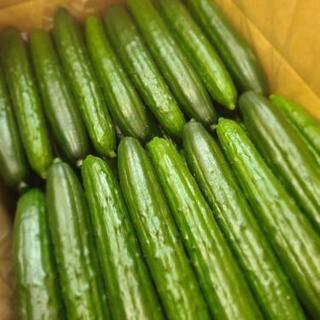 🥒パートさん募集🥒の画像