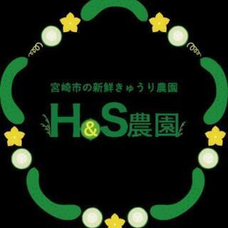 🥒パートさん募集🥒の画像