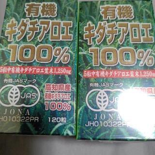キダチアロエ