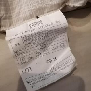 【墨田区限定本日無料配送】掛布付こたつの画像