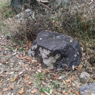 庭石　松江市　お譲りします。