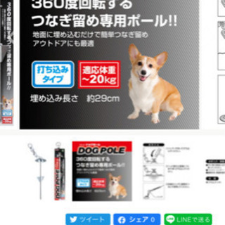 ドッグポールの画像