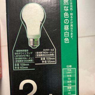 60ワット電球の画像