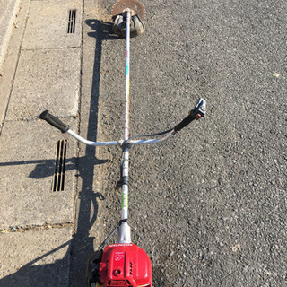 岩手県産 オオクワガタペア WF1