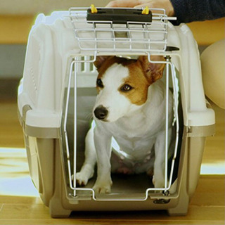 ペットケージ　SKUDOプレステージの画像