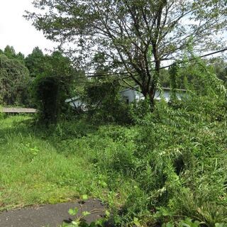 霧島市霧島田口【建物付売地】建物3棟+鶏舎付山林約398坪380万円 - 霧島市