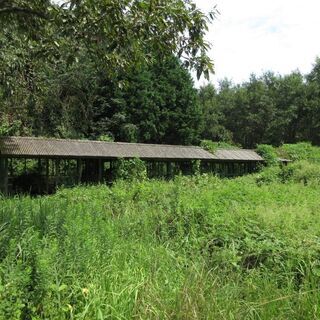 霧島市霧島田口【建物付売地】建物3棟+鶏舎付山林約398坪380万円 − 鹿児島県
