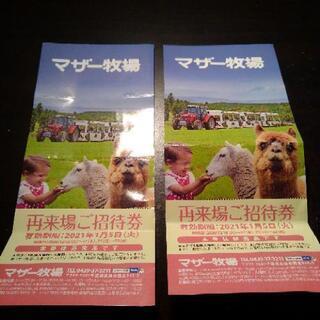 マザー牧場無料入場券２枚　有効期限間近