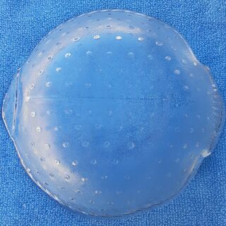 ガラス　ひらめ形皿　柄入り　　１個の値段　未使用の画像