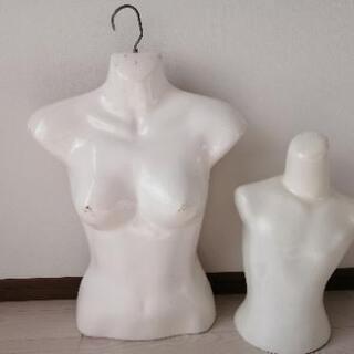 マネキン✩.*˚トルソー✩.*˚レディース＆キッズ