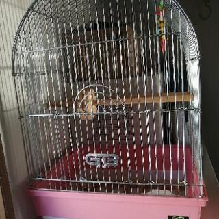 鳥かご✩.*˚お譲りいたしますの画像