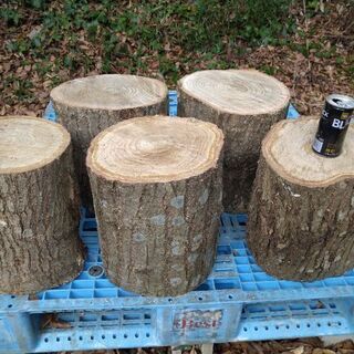#コロナに負けるな！「玉切り丸太差し上げます」1世帯様1本まで。...
