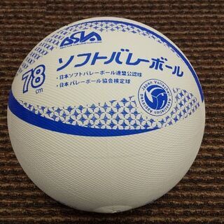 バレーより楽しい ソフトバレーボールの募集（右京区）。