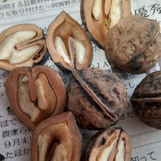 天然のくるみ（殻割り済み）