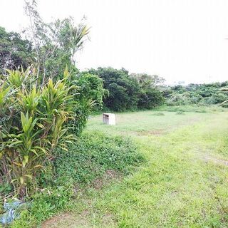 農業振興地域のため農業専用となります。線下補償料等年間８万円の収益有り - うるま市