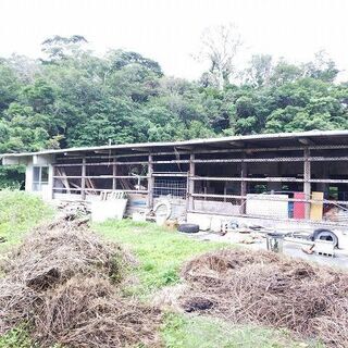 農業振興地域のため農業専用となります。線下補償料等年間８万円の収益有り - 不動産