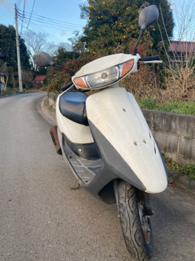 HONDA ライブディオ　白色　激安年末価格！！！