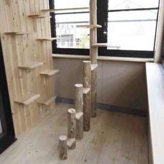 見積もり無料！ペットのためにリフォームは如何ですか？  - 天理市