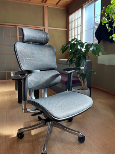 Ergohuman Pro (ホワイト)令和2年1月に購入しました。