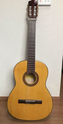 西武新宿線　クラシックギター＆オイル