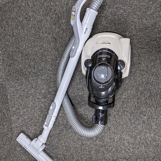ものすごく普通の掃除機