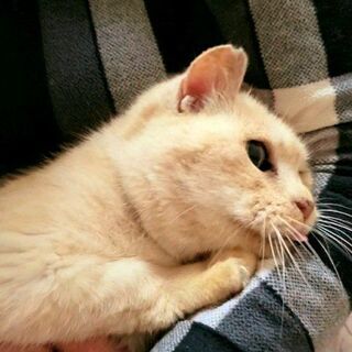 癒しの愛ちゃん❣