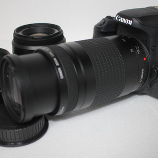 キャノンCanon EOS 9000D 標準&望遠&単焦点トリプルレンズセット
